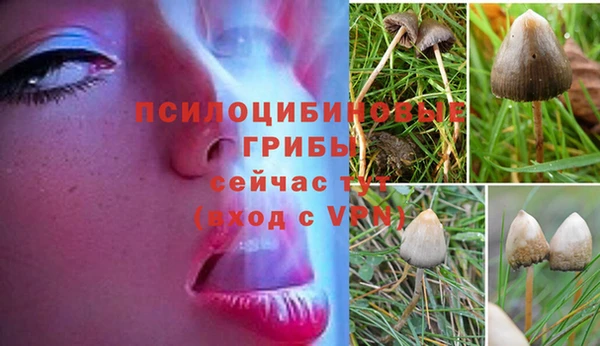 альфа пвп Белокуриха
